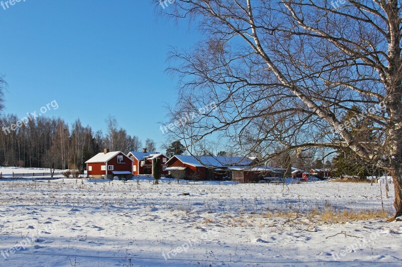 Snow Winter Cold Beautiful Red