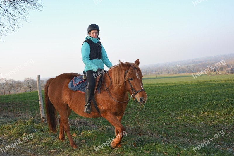 Horse Jumper Equine Horseback Riding Hiking