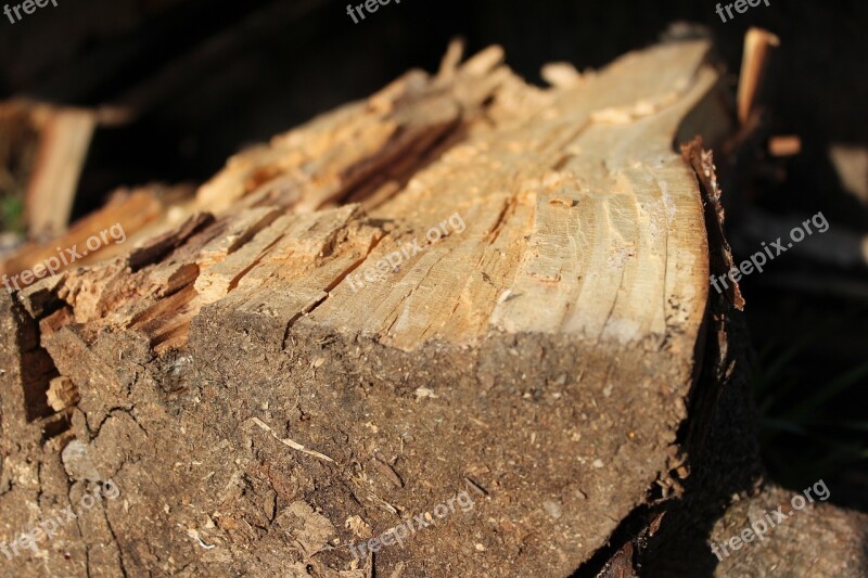 Lena Rural Trunks Rustic Agriculture