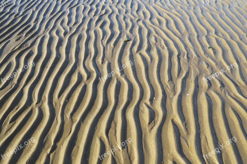 Sand Beach Ridges Ledges Sea