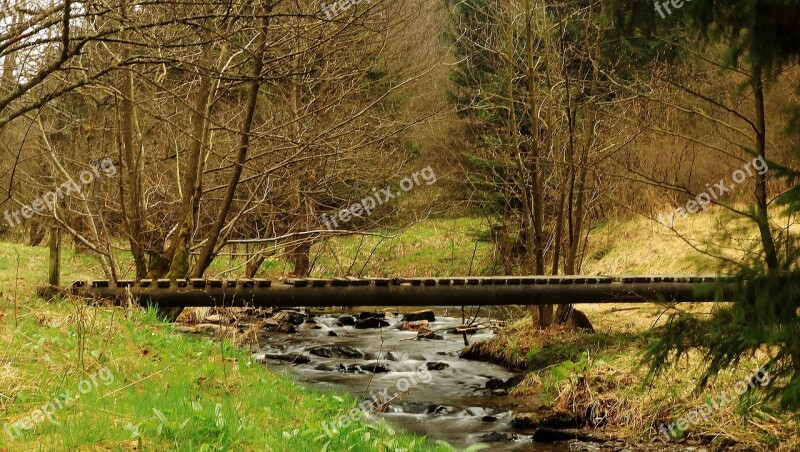 Eifel Pearl Valley Nature Park Creek Web