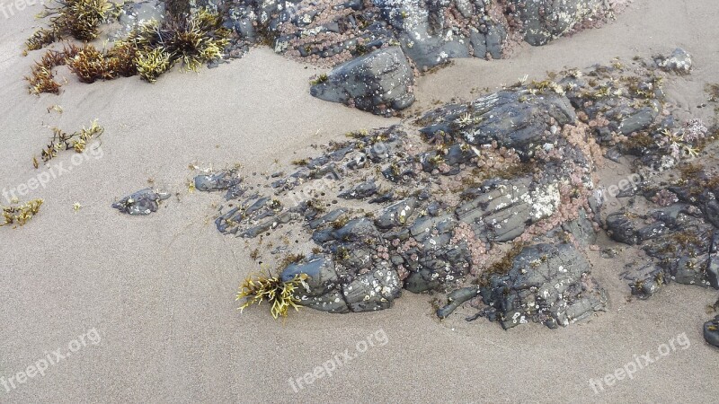 Sand Beach Coast Rock Ocean