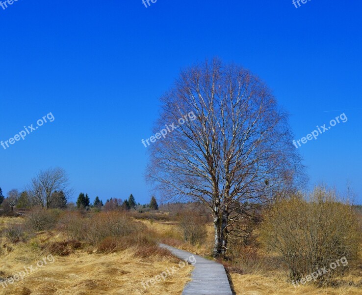 Moor Peat Bog Venn High Venn Nature Conservation