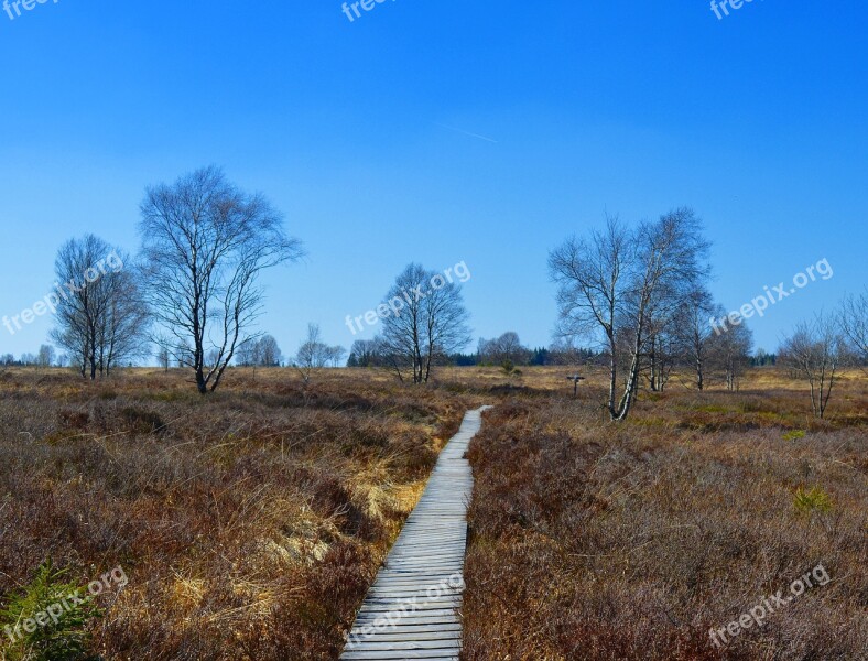 Moor Peat Bog Venn High Venn Nature Conservation