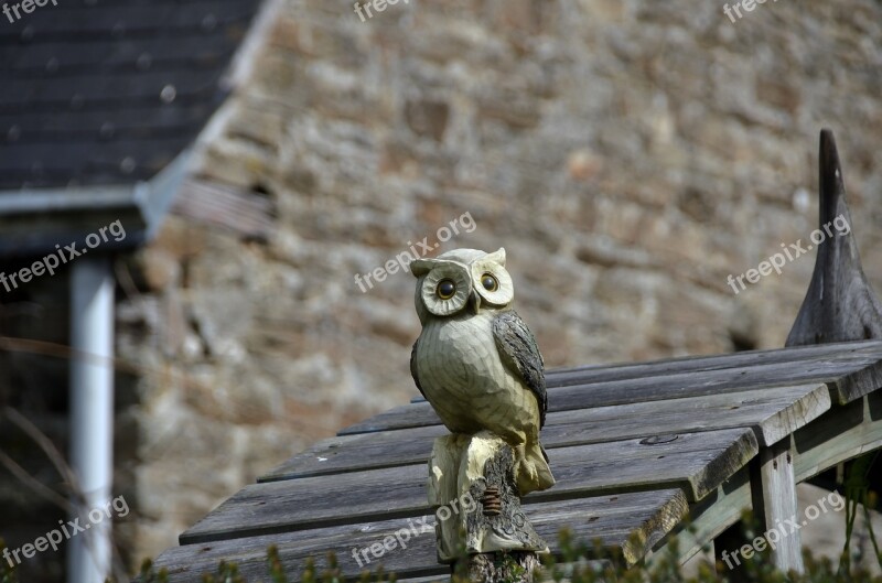 Sculpture Owl Animal Bird Eyes