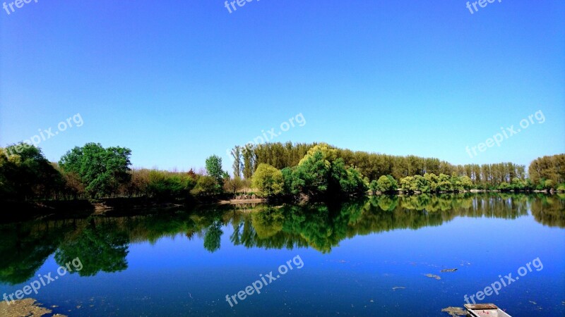 Lake Forest Sky Sun Water