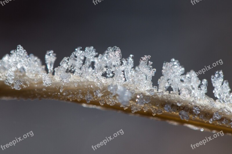 Ice Crystals Winter Macro Crystal Formation