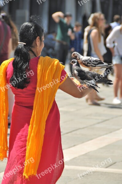 Indian Woman Sari Pigeons Tourist Venice