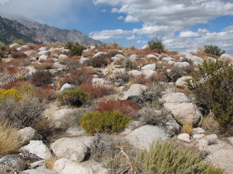 Desert Landscape Desert Scenic Nature Outdoors