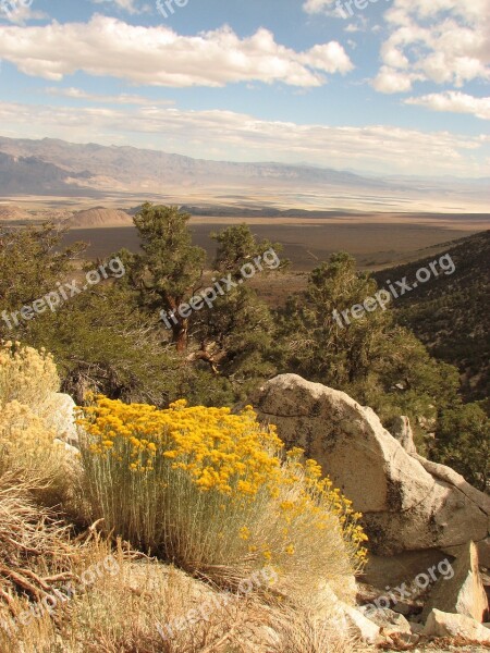 Desert Landscape Desert Scenic Nature Outdoors