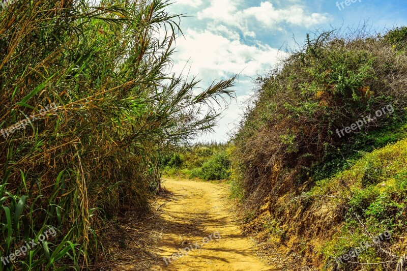 Path Landscape Scenery Trail Countryside