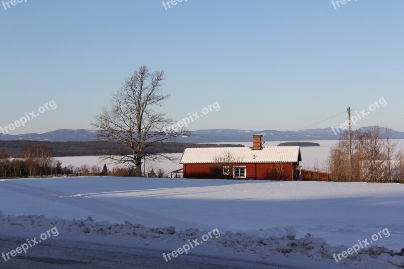 Snow Winter Cold Beautiful Red