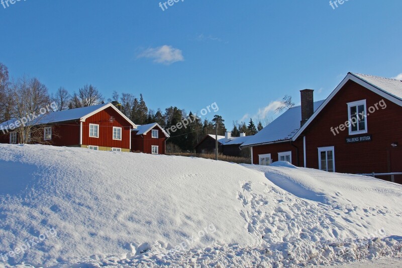 Snow Winter Cold Beautiful Red