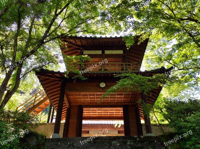 Japan Hitoyoshi Green Shrine Tourism