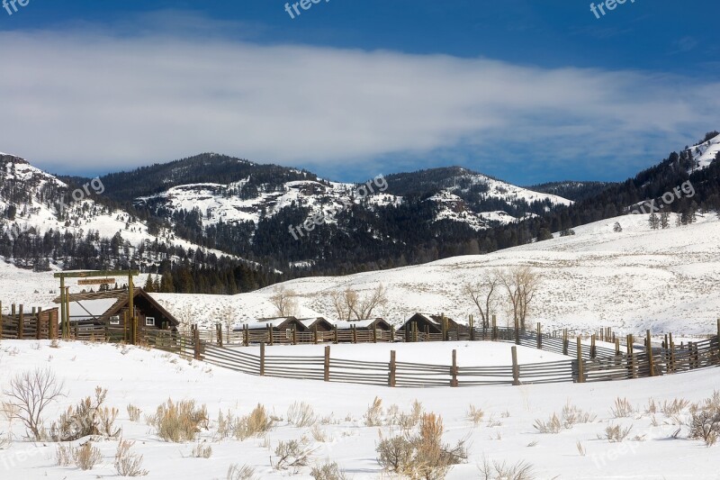 Yellowstone National Park Travel Tourism Snow