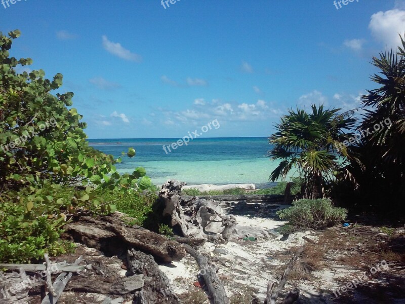 Beach Sea Ocean Water Travel