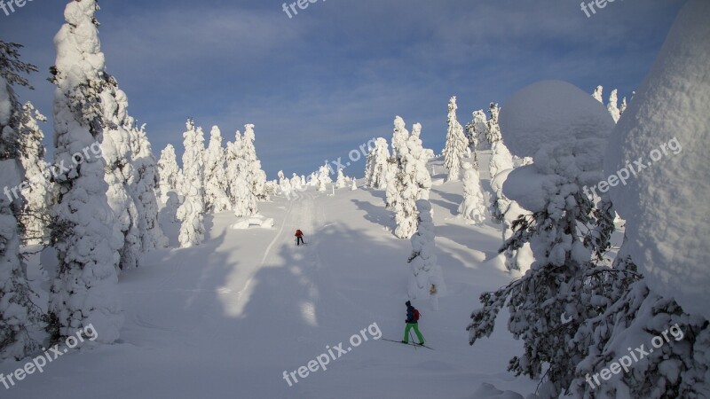 Cross Country Skiing Finland Lapland Wintry Winter Mood