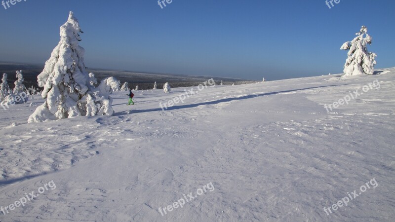 Snow Shoe Snow Shoe Run Finland Lapland Wintry Winter Mood