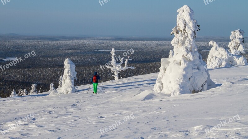 Snow Shoe Snow Shoe Run Finland Lapland Wintry Winter Mood