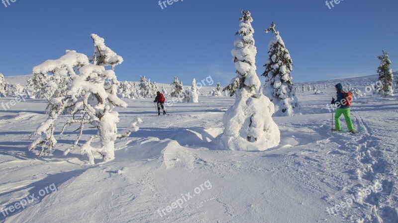 Snow Shoe Snow Shoe Run Finland Lapland Wintry Winter Mood