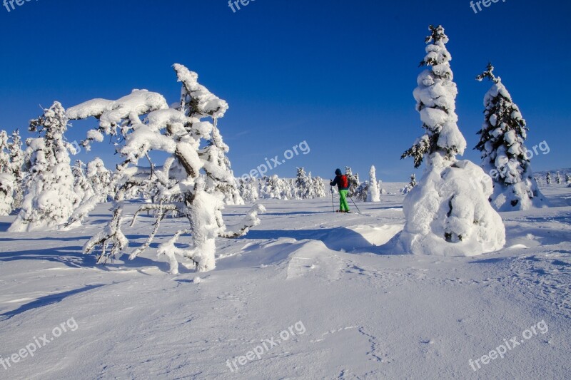 Snow Shoe Snow Shoe Run Finland Lapland Wintry Winter Mood