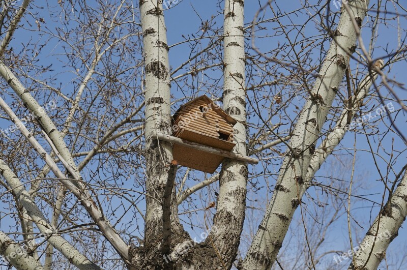 Birdhouse Tree Nature Free Photos