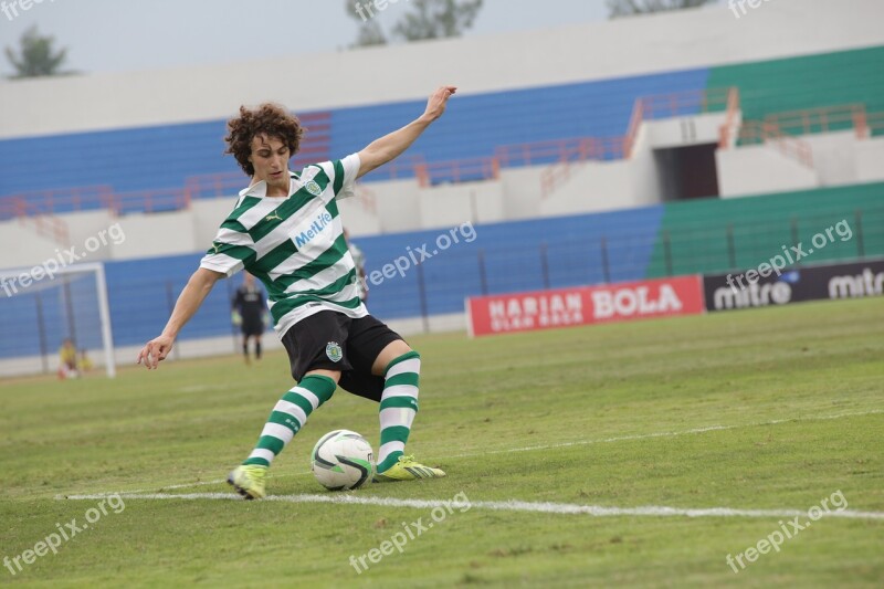 Soccer Playing Soccer Goal Football Sport