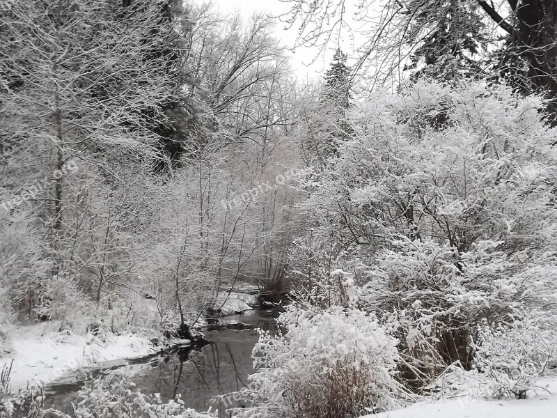 Winter View Snow Landscape Tree