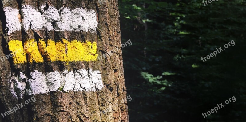 Directory Forest Characters Nature Hiking