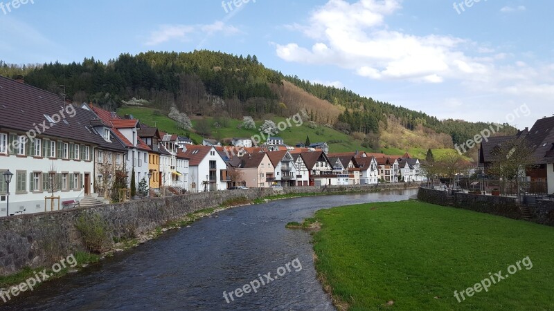 Black Forest River Watercourse Bridge Free Photos