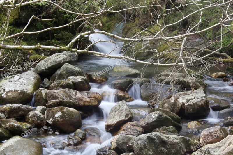 Stream Creek Flow Water Nature