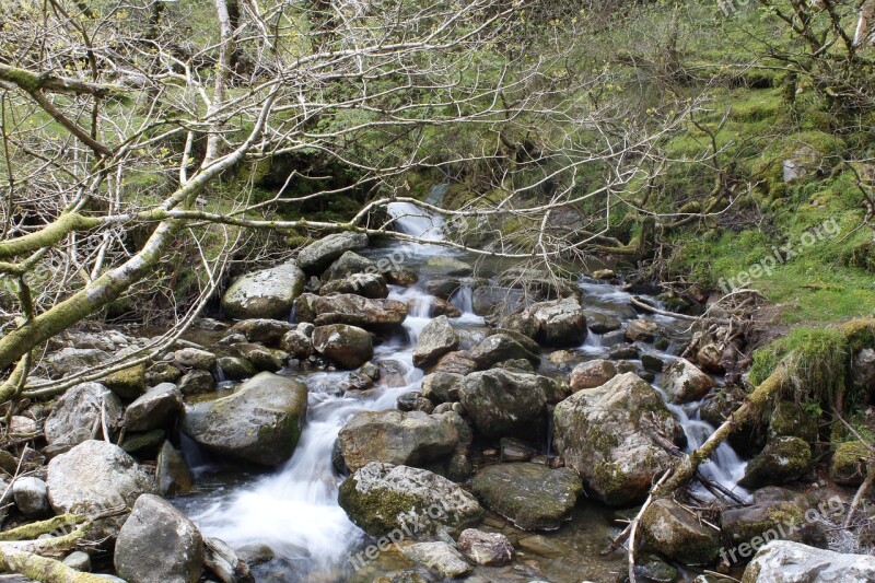 Ireland Wicklow Glendalough Nature Irish