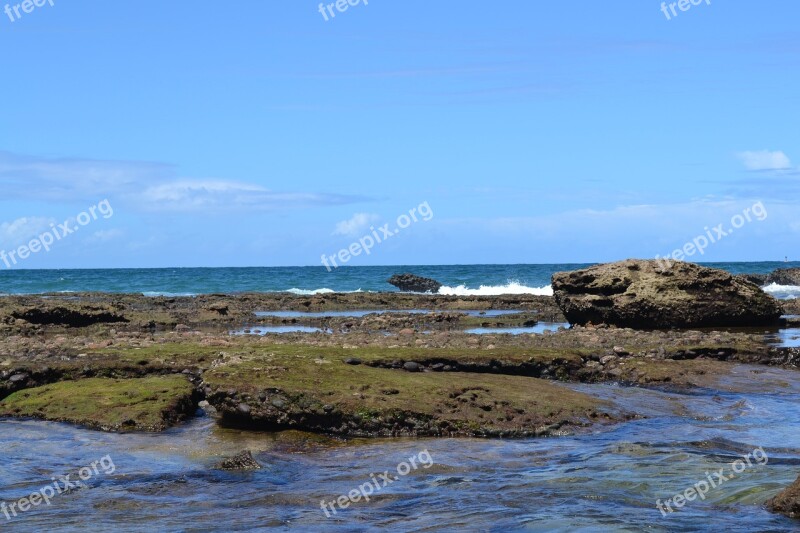 Beach Mar Sol Salvador Bahia