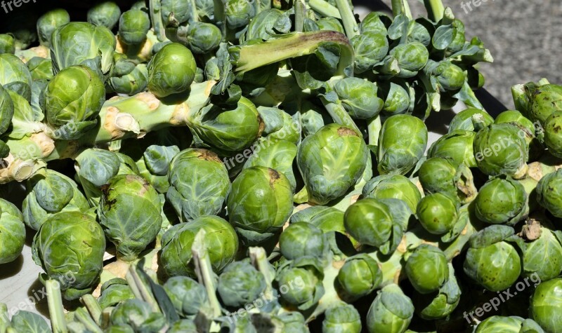 Brussel Sprouts Vegetable Food Green Healthy