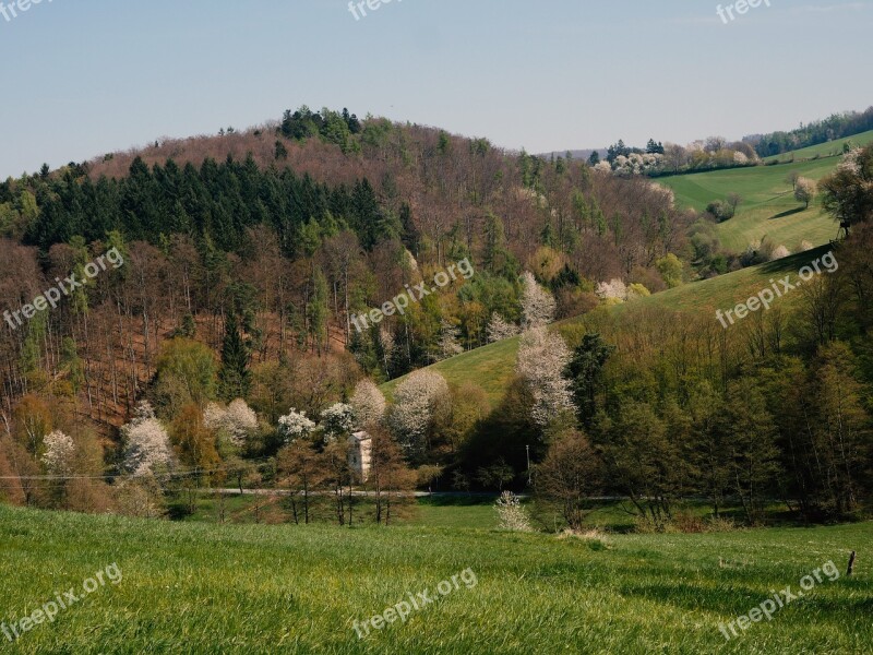 Odenwald Cultural Landscape Mixed Forest Südhessen Germany