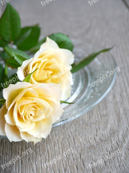 Roses Bouquet Of Roses Bouquet White Yellow