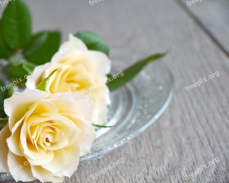 Roses Bouquet Of Roses Bouquet White Yellow