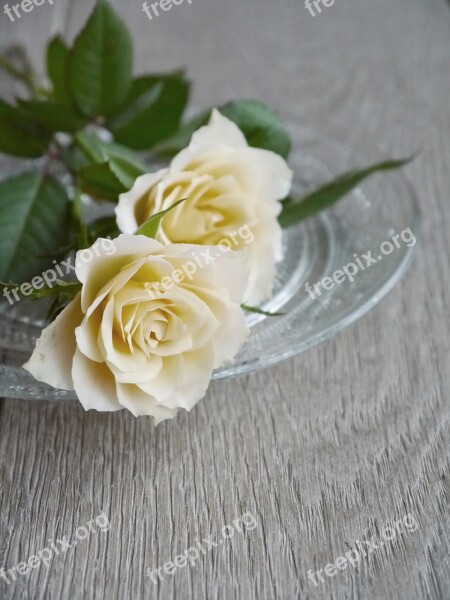 Roses Bouquet Of Roses Bouquet White Yellow