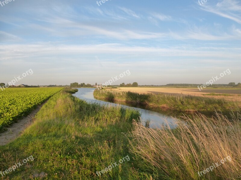 Zealand Walcheren Water Landscape Grasses