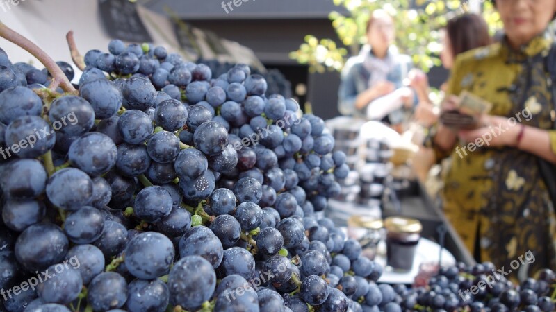 Blueberry Karuizawa Marche Market Free Photos