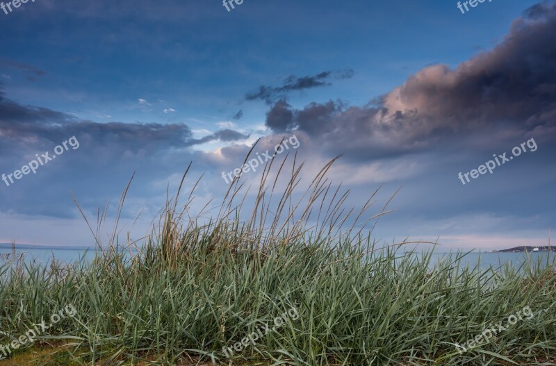 Sea Grass Beach Landscape Water