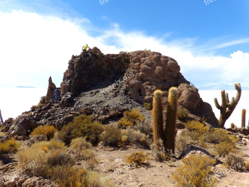 Desert Sallar Cactus Salt Landscape