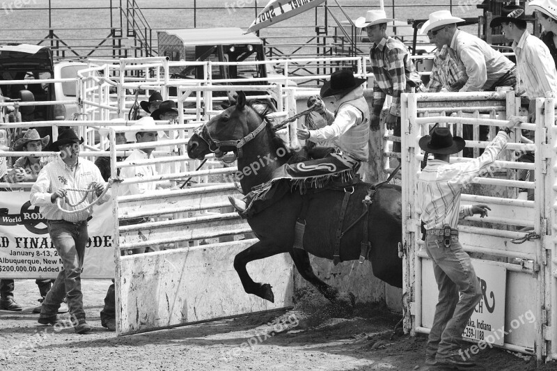 Rodeo Men Horses Cowboy Man