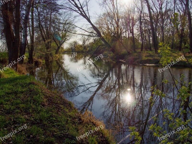 River Water-level Trees Reflection Free Photos