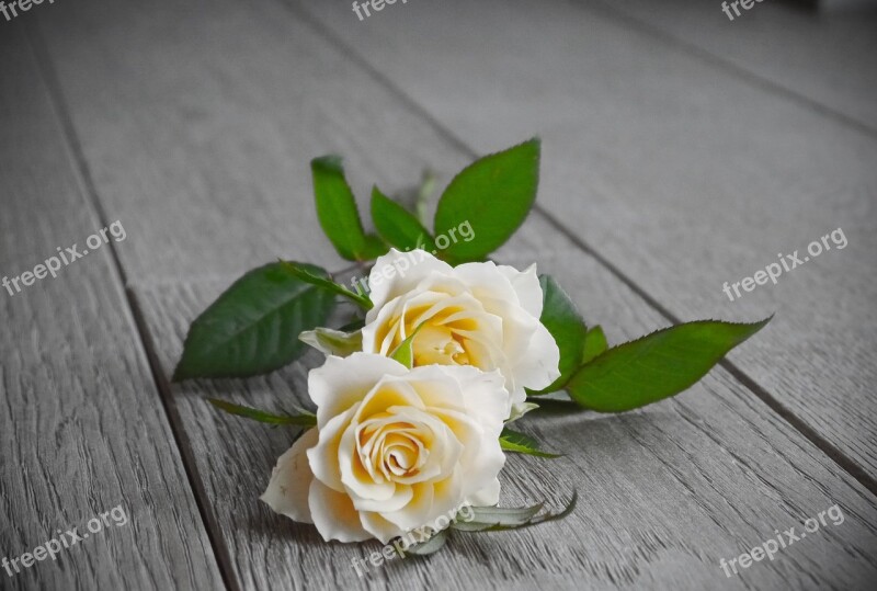 Roses Bouquet Of Roses Bouquet White Yellow