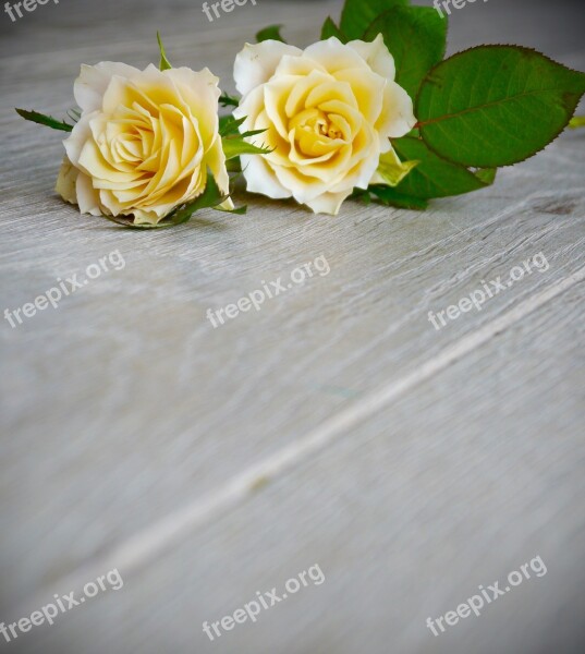 Roses Bouquet Of Roses Bouquet White Yellow