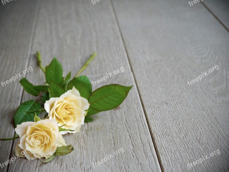 Roses Bouquet Of Roses Bouquet White Yellow