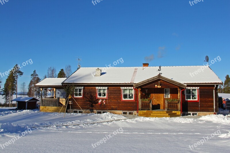 Snow Winter Cold Beautiful Red