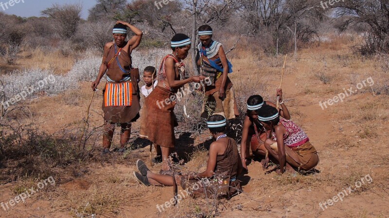 Botswana Bushman Group Collect Indigenous Culture