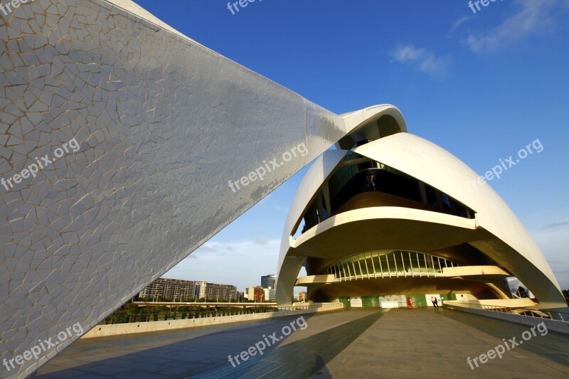 Architecture Valencia City Science Science Arts